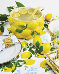 8 Oak Lane Lemon Salt & Pepper Shaker Boxed Set