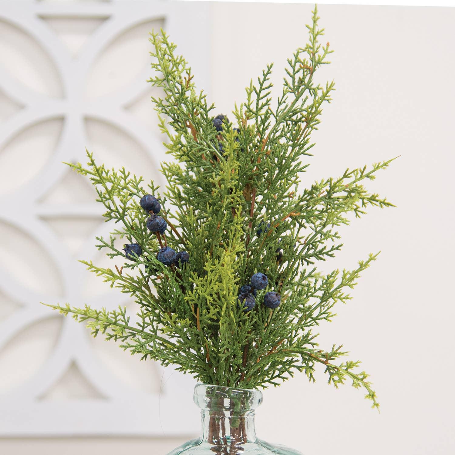 Blue Berry & Cedar Bush, 17"