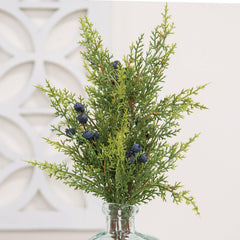 Blue Berry & Cedar Bush, 17"